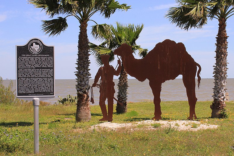 US Camel Corps State Historical Marker