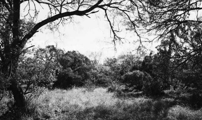 chipita rodriguez hanging