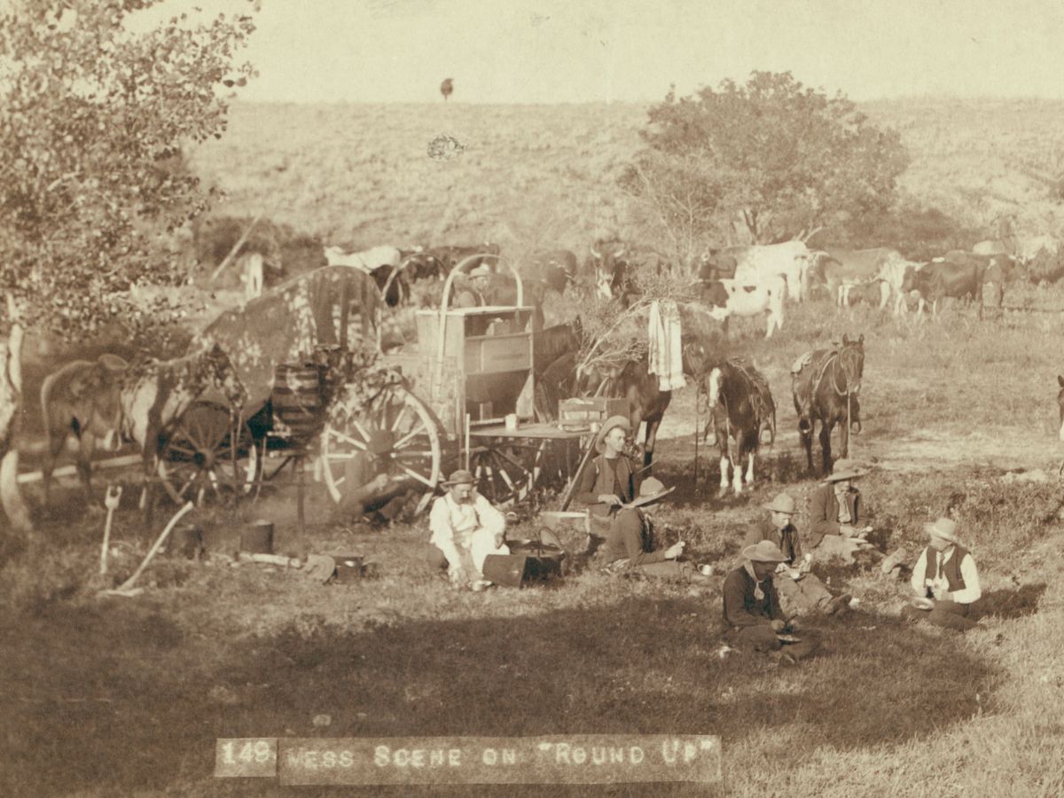 Everything You Need to Know About Cowboy Chaps OldWest