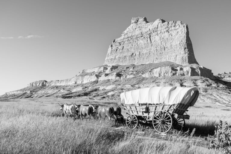 7 Facts You May Not Know About the Conestoga Wagon OldWest