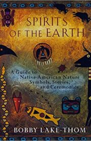 native american symbols book