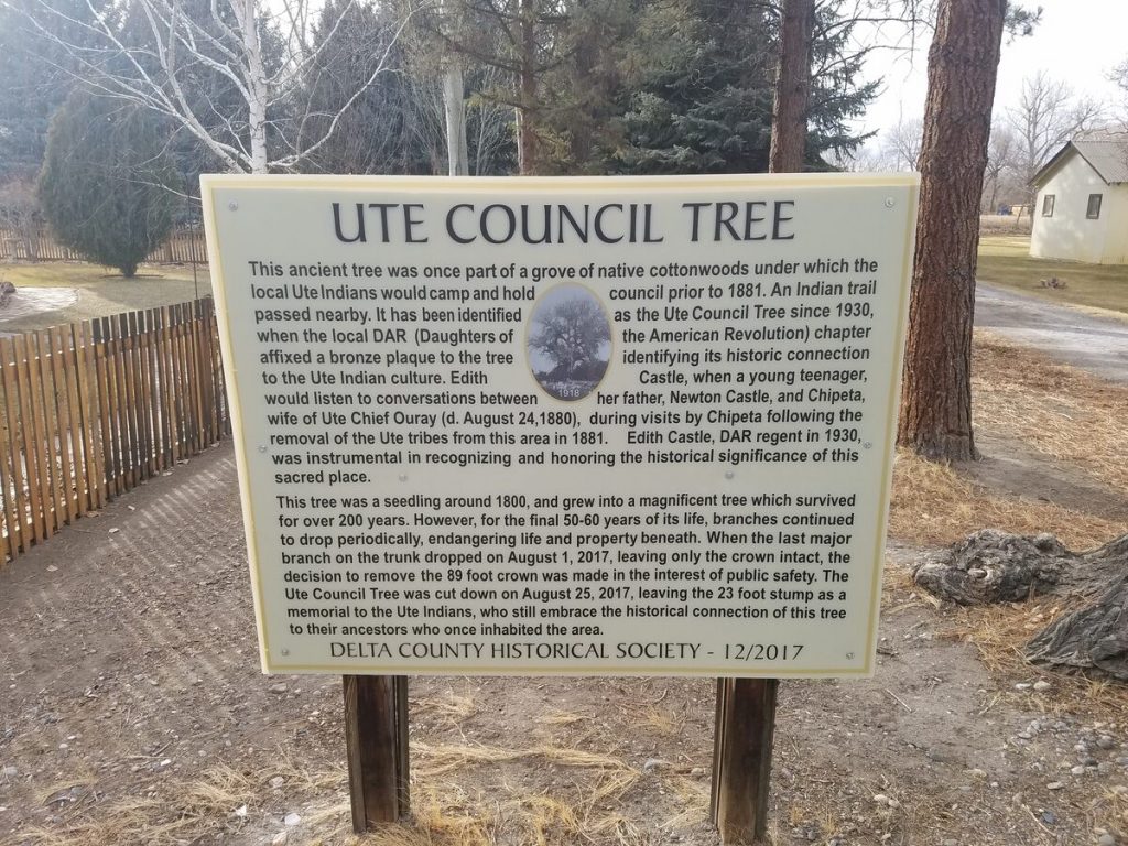 ute council tree