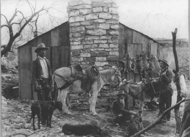 walter lubken photo tonto basin